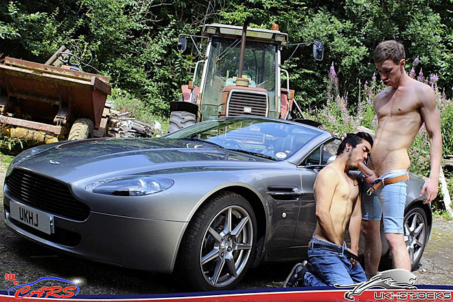 Sex on Cars - Taking Ad-Vantage Image