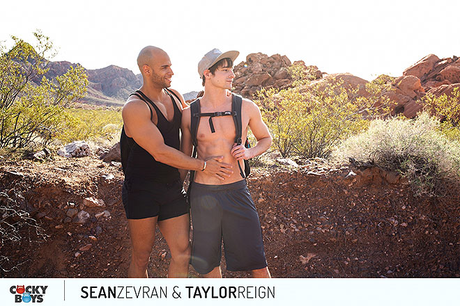 Sean & Taylor Image