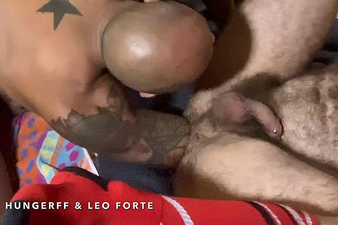 Porn Star Leo 2 Image