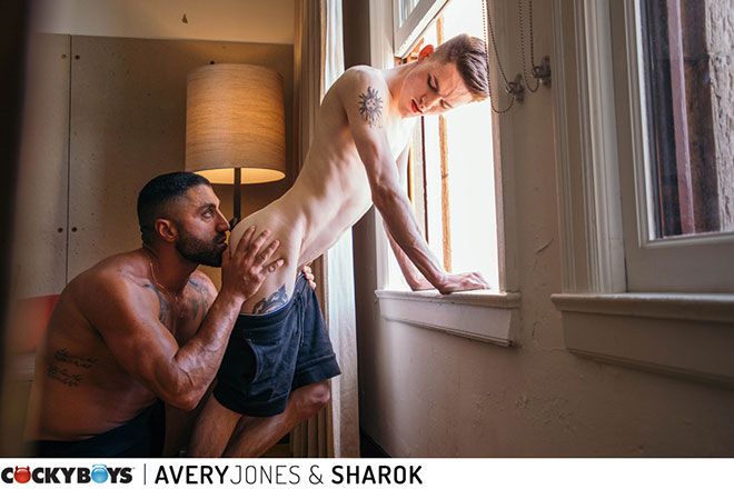 Avery & Sharok Image
